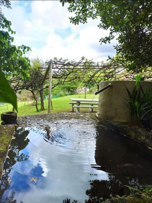 A Vina De Lina. Turismo Rural Con Piscina Y Finca. 폰테베드라 외부 사진