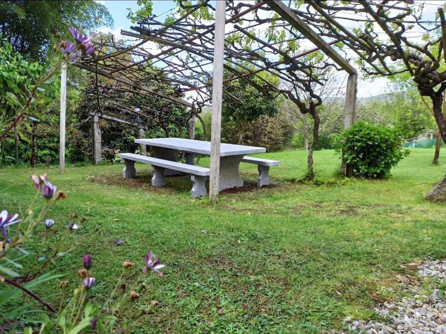 A Vina De Lina. Turismo Rural Con Piscina Y Finca. 폰테베드라 외부 사진